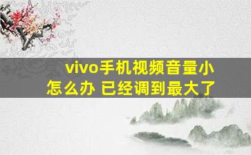 vivo手机视频音量小怎么办 已经调到最大了